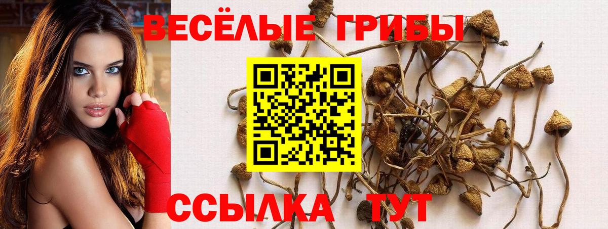 Галлюциногенные грибы MAGIC MUSHROOMS Крымск